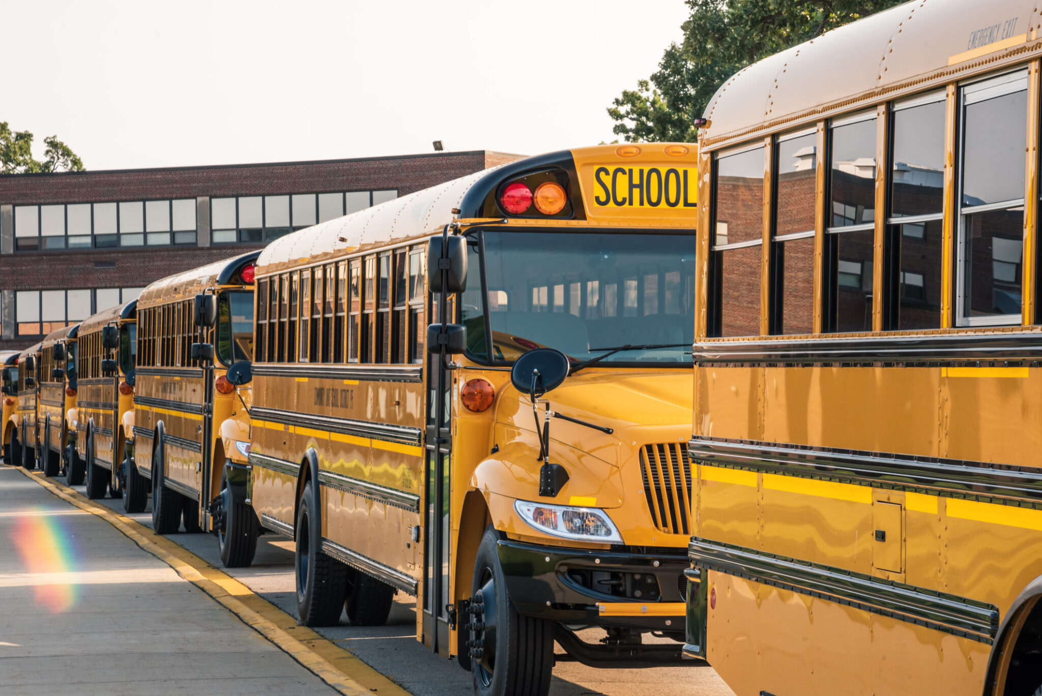  A row of yellow school buses parked in a school bus parking lot.
